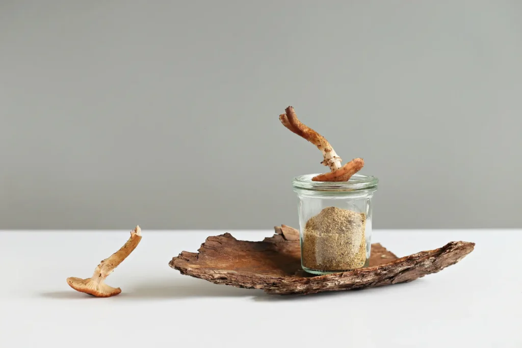 Magic psilocybin mushrooms and magic powder